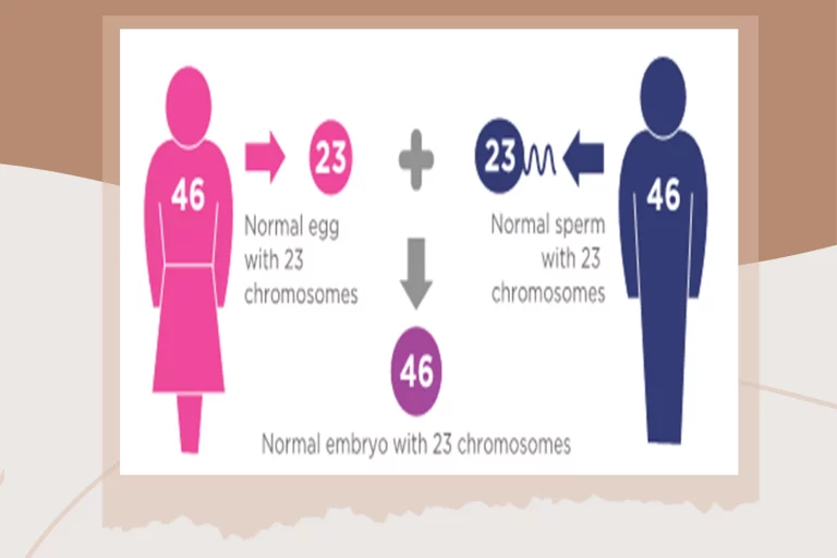 Euploidy and aneuploidy