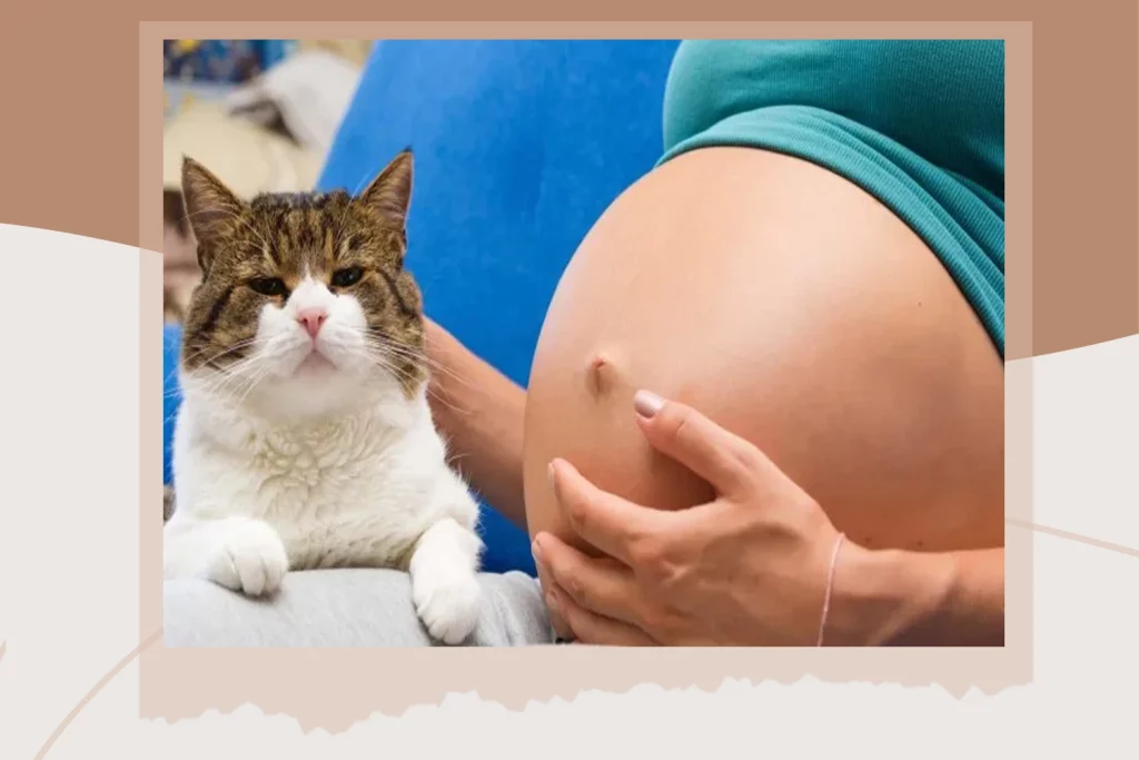 prevent and protect women from Infectious diseases Toxoplasmosis
